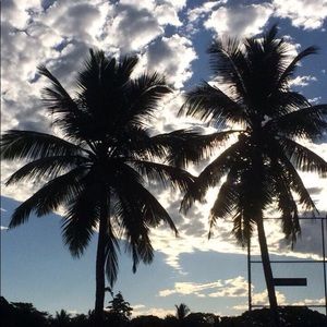 Meet your Posher, Alan